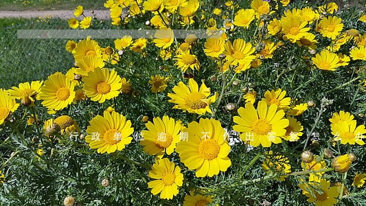 行政单位逾期不作出答复怎么办 行政单位逾期不作出答复怎么办