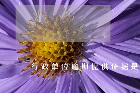 行政单位逾期提供证据是否违纪 行政单位逾期提供证据是否违纪
