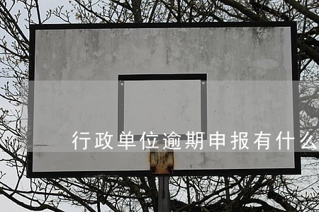 行政单位逾期申报有什么影响 行政单位逾期申报有什么影响