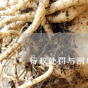 行政处罚与刑事司法衔接办法