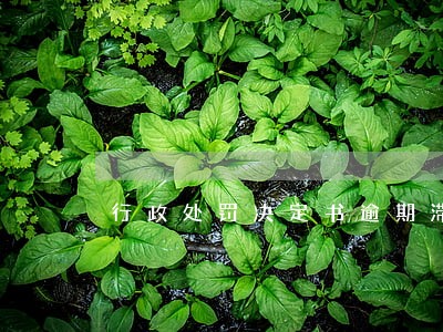 行政处罚决定书逾期滞纳金规定 行政处罚决定书逾期滞纳金规定