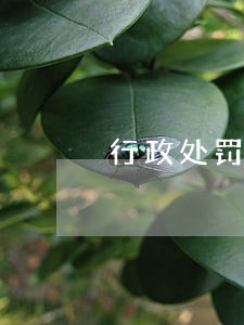 行政处罚可以直接诉讼吗 行政处罚可以直接诉讼吗