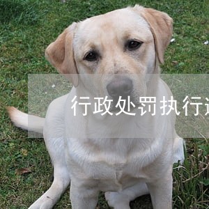 行政处罚执行逾期 行政处罚执行逾期