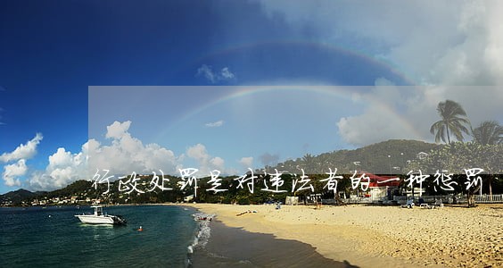 行政处罚是对违法者的一种惩罚 行政处罚是对违法者的一种惩罚
