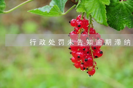 行政处罚未告知逾期滞纳金 行政处罚未告知逾期滞纳金