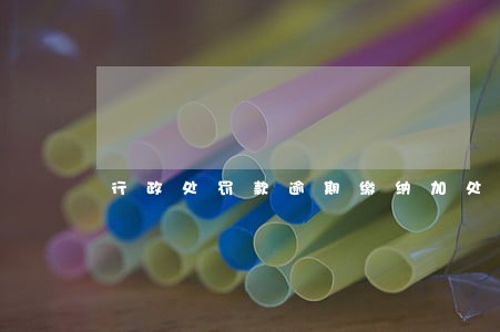 行政处罚款逾期缴纳加处 行政处罚款逾期缴纳加处