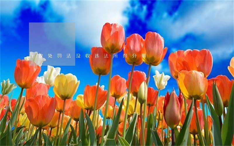行政处罚法没收违法所得分期