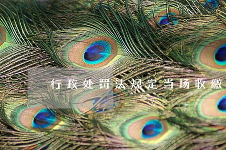 行政处罚法规定当场收缴处罚款 行政处罚法规定当场收缴处罚款