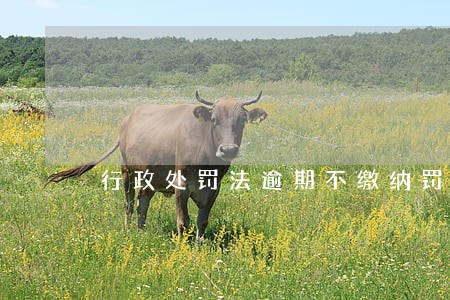行政处罚法逾期不缴纳罚款 行政处罚法逾期不缴纳罚款