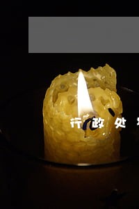 行政处罚申请法院强制执行书 行政处罚申请法院强制执行书
