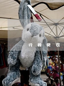 行政处罚的诉讼期限六个月 行政处罚的诉讼期限六个月