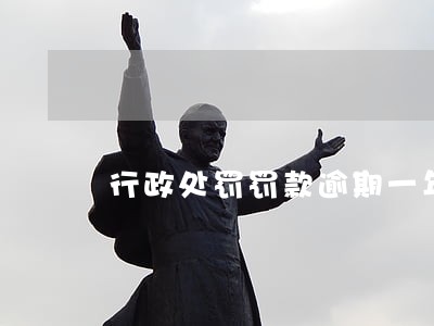 行政处罚罚款逾期一年