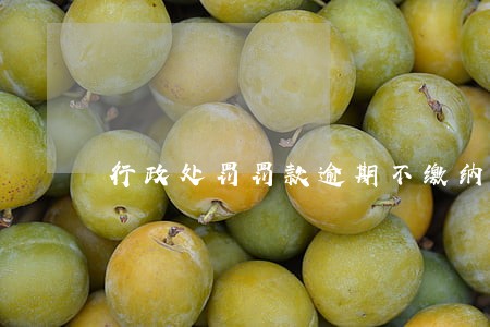 行政处罚罚款逾期不缴纳时限 行政处罚罚款逾期不缴纳时限