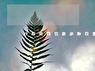 行政处罚罚款逾期罚金 行政处罚罚款逾期罚金