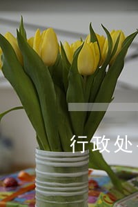 行政处罚罚款逾期重新开罚单 行政处罚罚款逾期重新开罚单