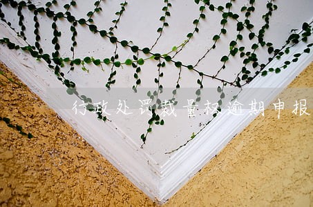 行政处罚裁量权逾期申报 行政处罚裁量权逾期申报