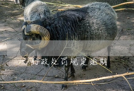 行政处罚规定逾期 行政处罚规定逾期