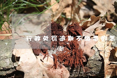 行政处罚逾期不缴费的怎么办 行政处罚逾期不缴费的怎么办