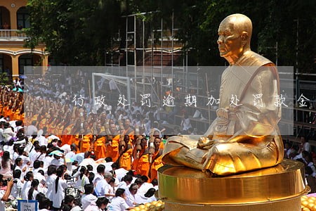 行政处罚逾期加处罚款金额 行政处罚逾期加处罚款金额