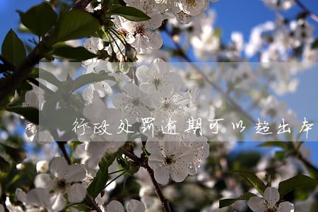 行政处罚逾期可以超出本金吗 行政处罚逾期可以超出本金吗