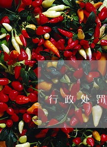 行政处罚逾期滞纳金千分之三 行政处罚逾期滞纳金千分之三