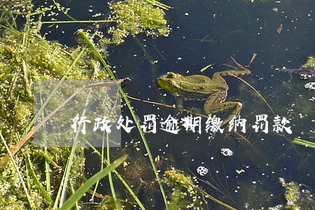 行政处罚逾期缴纳罚款 行政处罚逾期缴纳罚款
