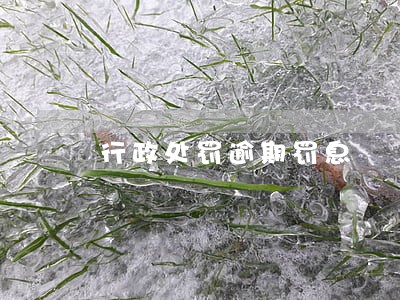 行政处罚逾期罚息 行政处罚逾期罚息