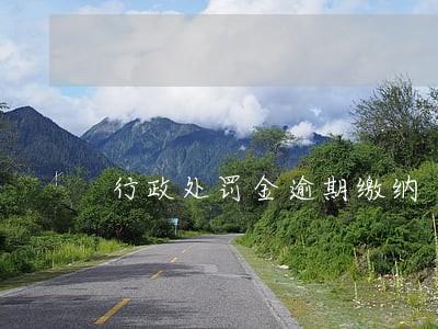 行政处罚金逾期缴纳 行政处罚金逾期缴纳