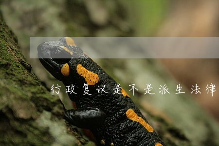 行政复议是不是派生法律关系 行政复议是不是派生法律关系