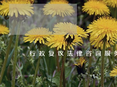 行政复议法律咨询服务 行政复议法律咨询服务