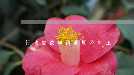 行政复议申请逾期不补正 行政复议申请逾期不补正