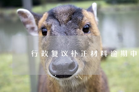 行政复议补正材料逾期申请 行政复议补正材料逾期申请