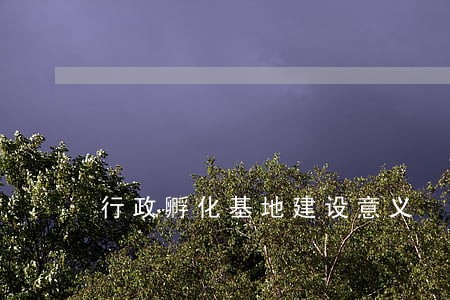 行政孵化基地建设意义