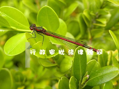 行政审批法律顾问 行政审批法律顾问
