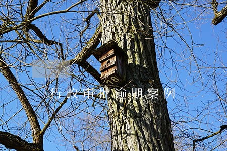 行政审批逾期案例 行政审批逾期案例
