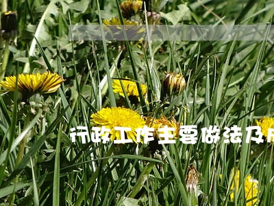 行政工作主要做法及成效 行政工作主要做法及成效