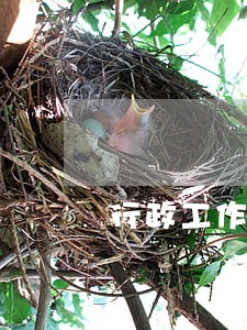 行政工作在发展中问题及对策 行政工作在发展中问题及对策