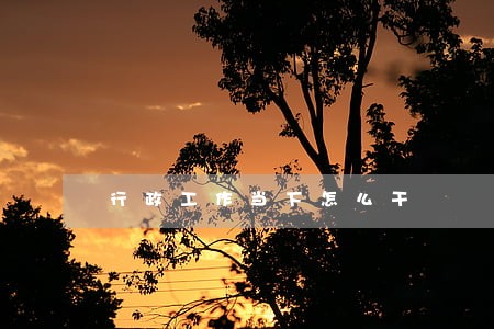 行政工作当下怎么干 行政工作当下怎么干