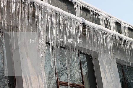行政工作成长 行政工作成长