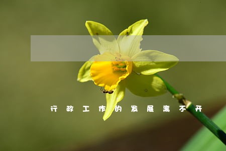 行政工作的发展离不开 行政工作的发展离不开