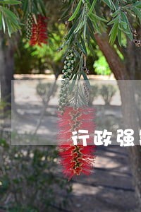行政强制执行逾期 行政强制执行逾期