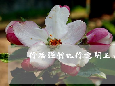 行政强制执行逾期正当理由 行政强制执行逾期正当理由