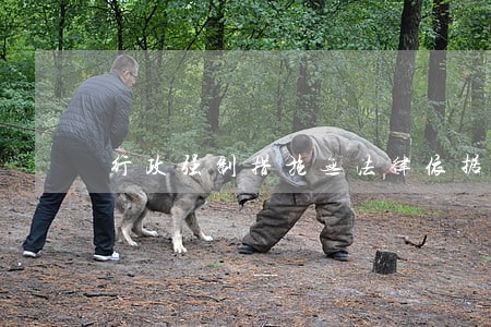 行政强制措施无法律依据 行政强制措施无法律依据