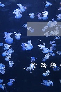 行政强制法对逾期未作出处理规定 行政强制法对逾期未作出处理规定