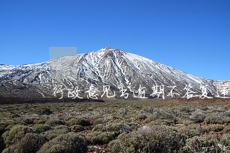 行政意见书逾期不答复违法吗 行政意见书逾期不答复违法吗