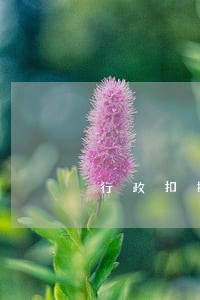 行政扣押逾期不处理如何法律救济 行政扣押逾期不处理如何法律救济