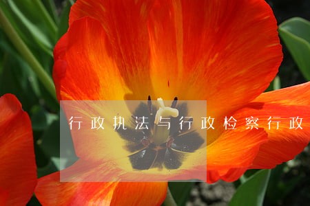 行政执法与行政检察行政诉讼 行政执法与行政检察行政诉讼