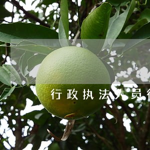 行政执法人员行为规范的文章 行政执法人员行为规范的文章