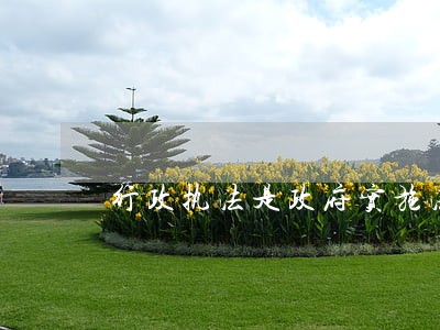 行政执法是政府实施法律法规 行政执法是政府实施法律法规