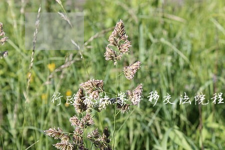 行政执法案件移交法院程序 行政执法案件移交法院程序
